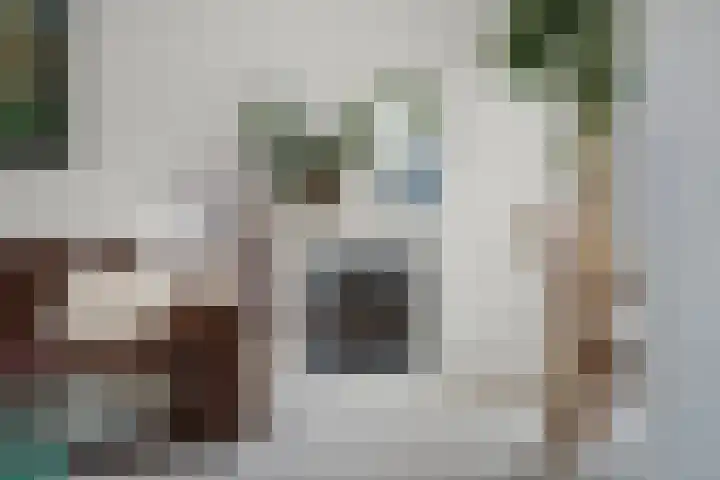Zandstraat 18 Spijk thumbnail 5