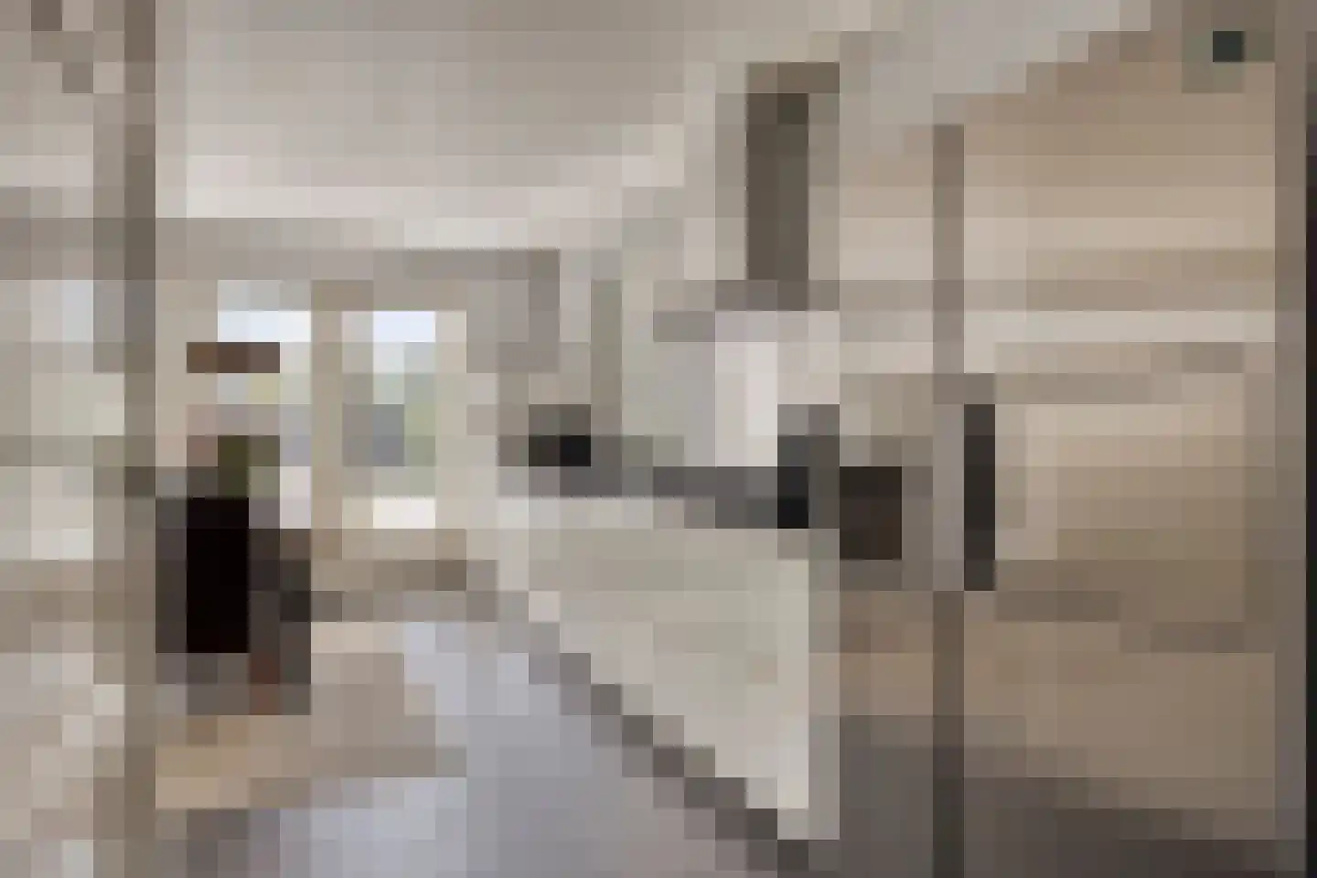 Zandstraat 2 Berlicum thumbnail 12