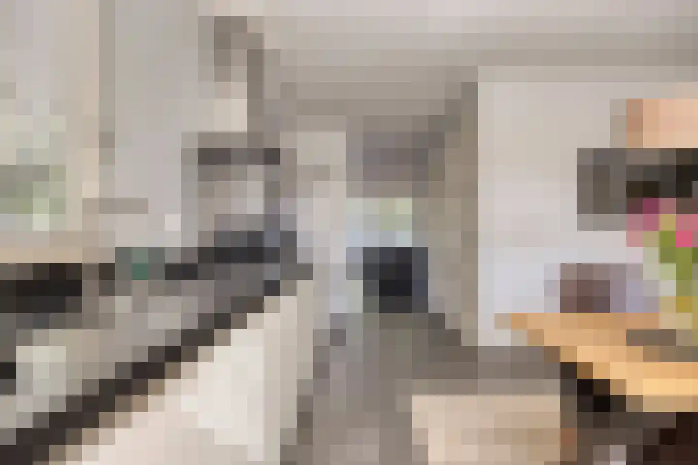 Zandstraat 2 Berlicum thumbnail 13