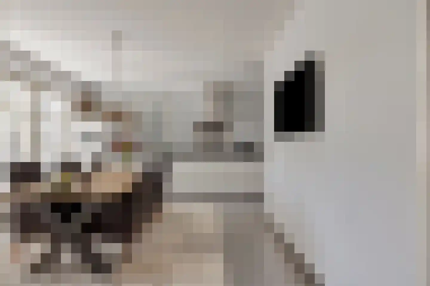 Zandstraat 2 Berlicum thumbnail 15