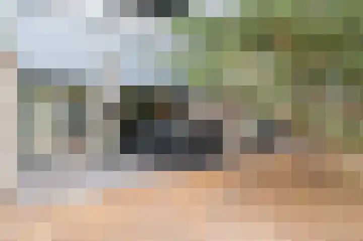 Zandstraat 2 Berlicum thumbnail 17