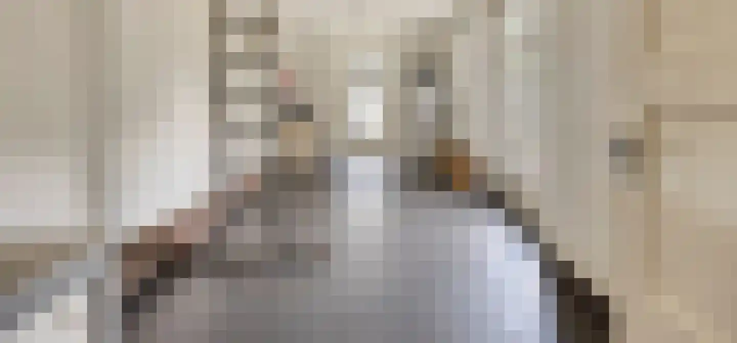 Zandstraat 2 Berlicum thumbnail 20
