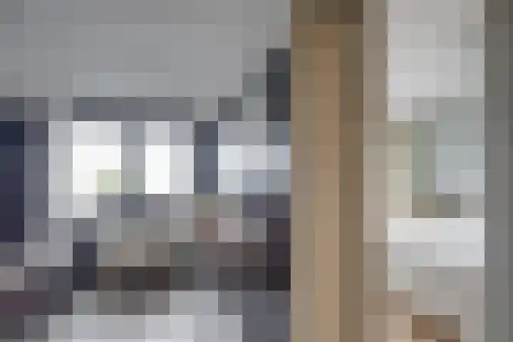 Zandstraat 2 Berlicum thumbnail 20
