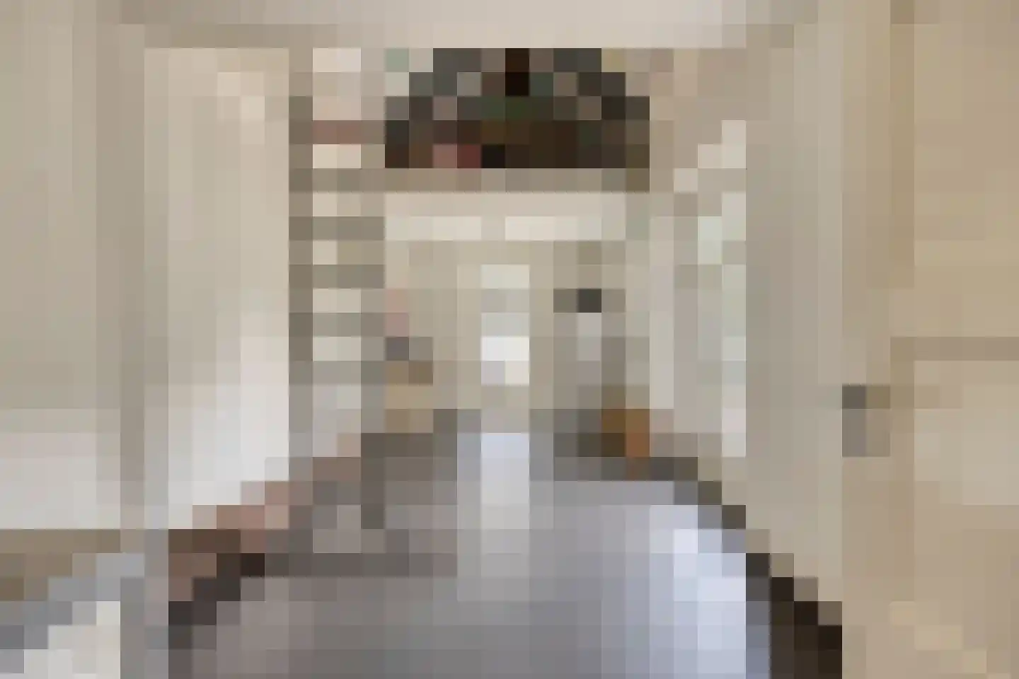 Zandstraat 2 Berlicum thumbnail 22
