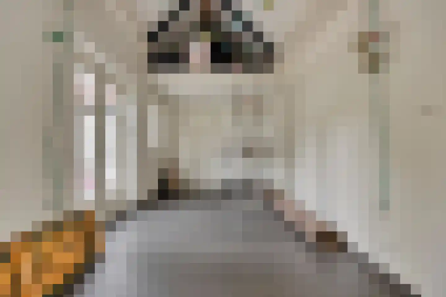 Zandstraat 2 Berlicum thumbnail 23