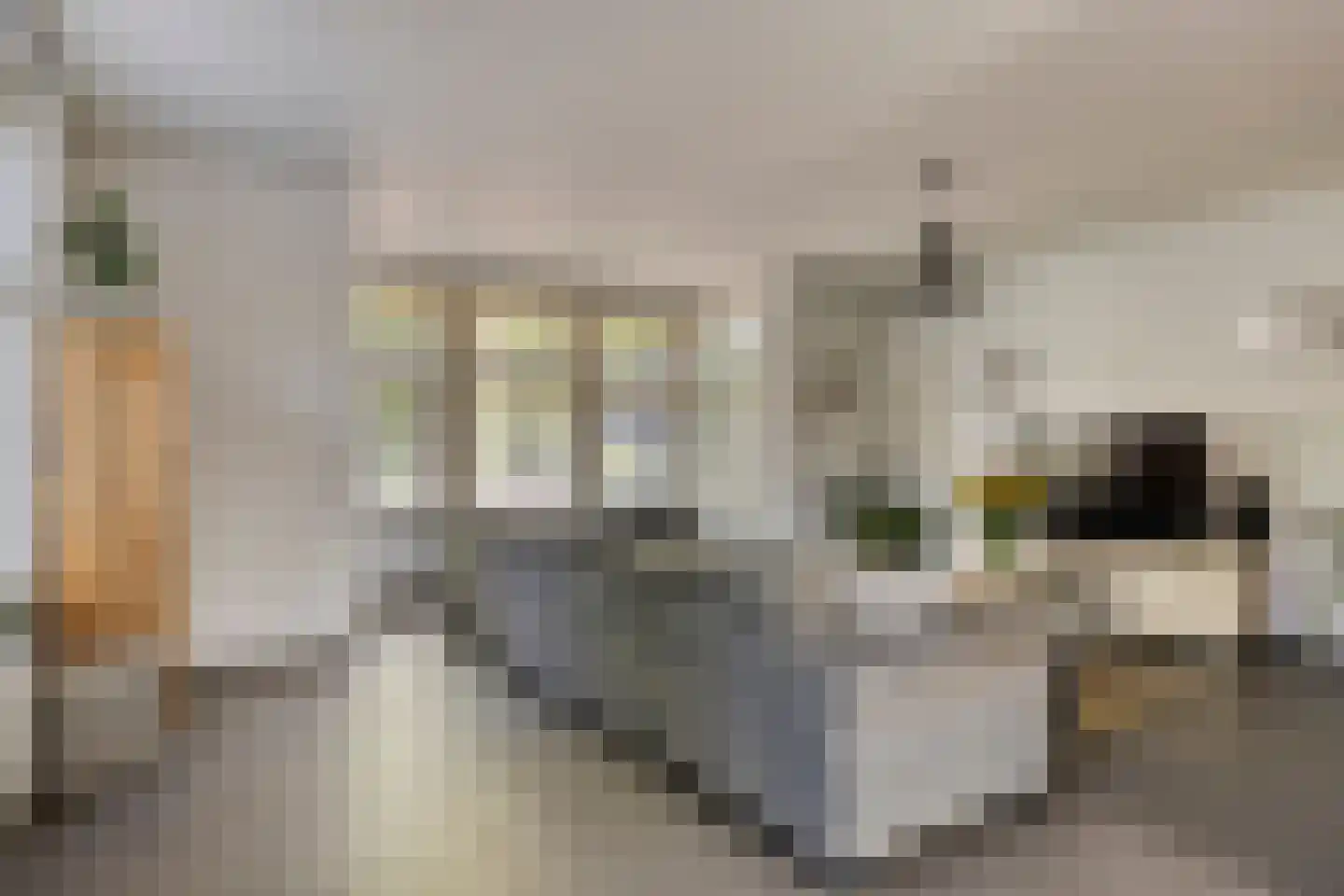 Zandstraat 2 Berlicum foto 3