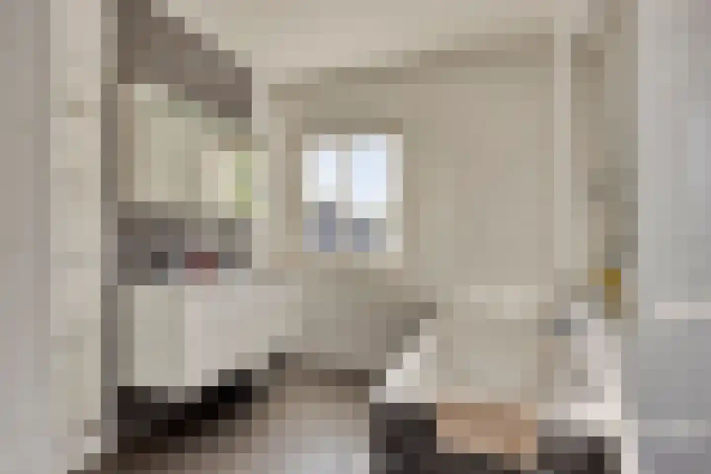 Zandstraat 2 Berlicum thumbnail 31
