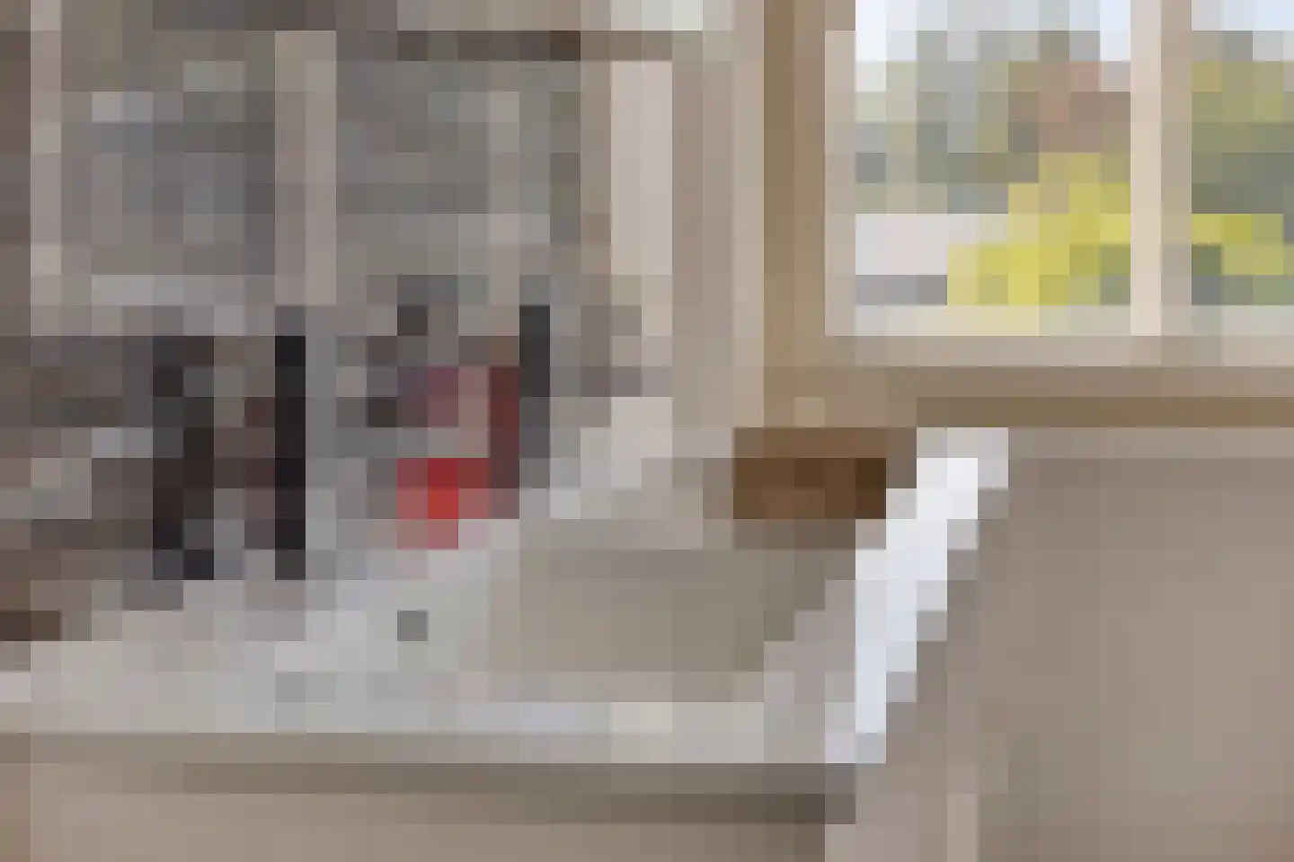 Zandstraat 2 Berlicum thumbnail 33