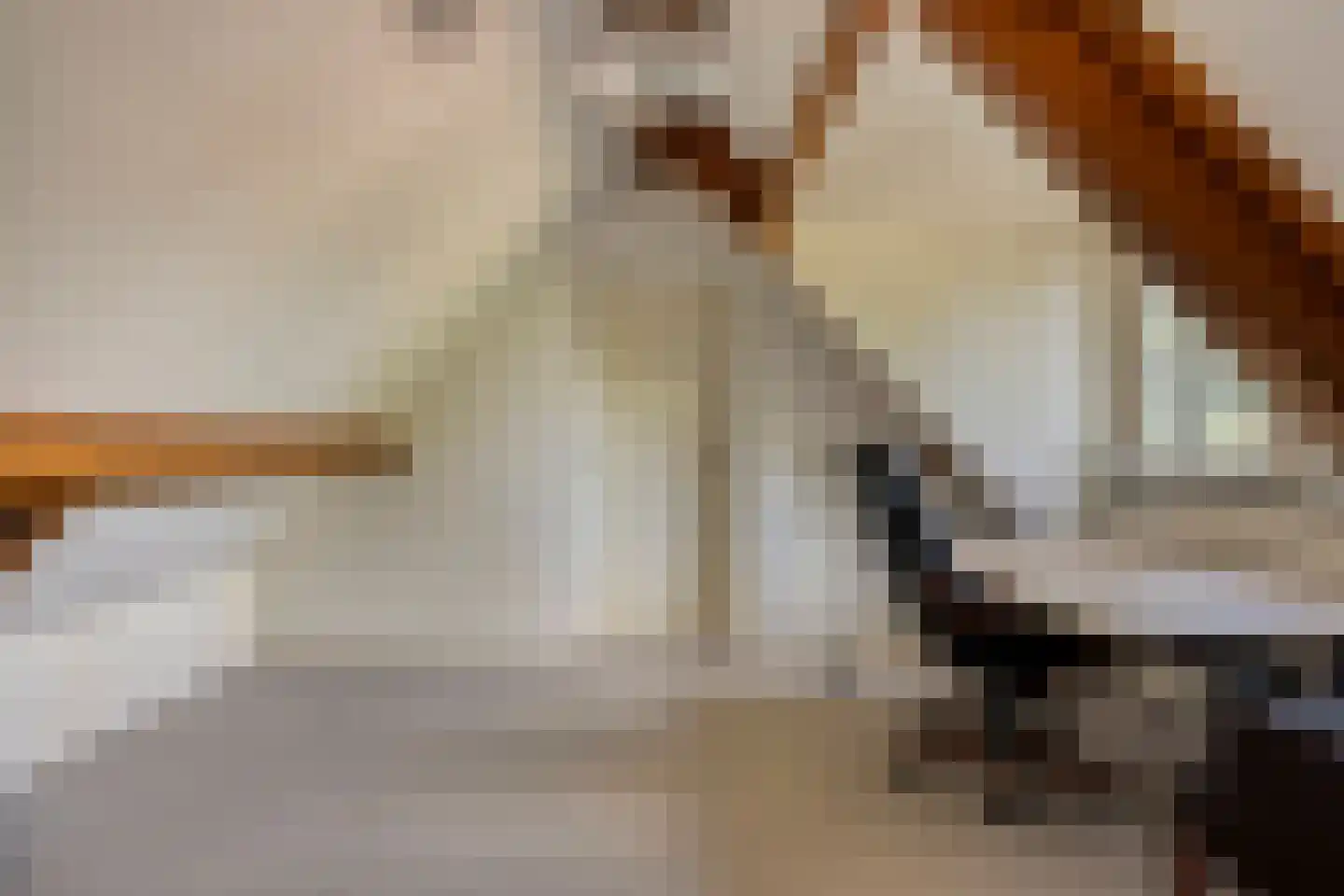 Zandstraat 2 Berlicum thumbnail 37
