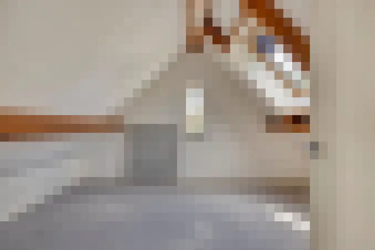 Zandstraat 2 Berlicum thumbnail 42