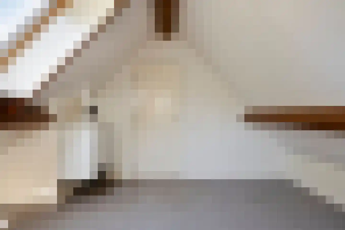 Zandstraat 2 Berlicum thumbnail 43