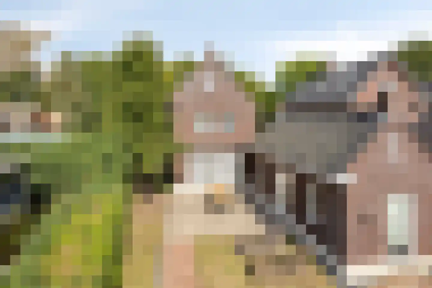 Zandstraat 2 Berlicum thumbnail 44