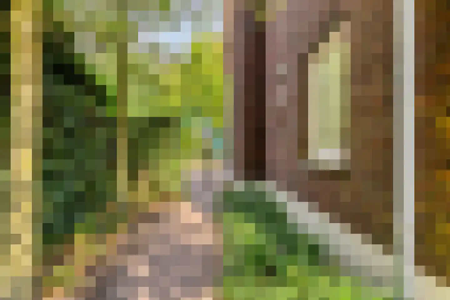 Zandstraat 2 Berlicum thumbnail 45