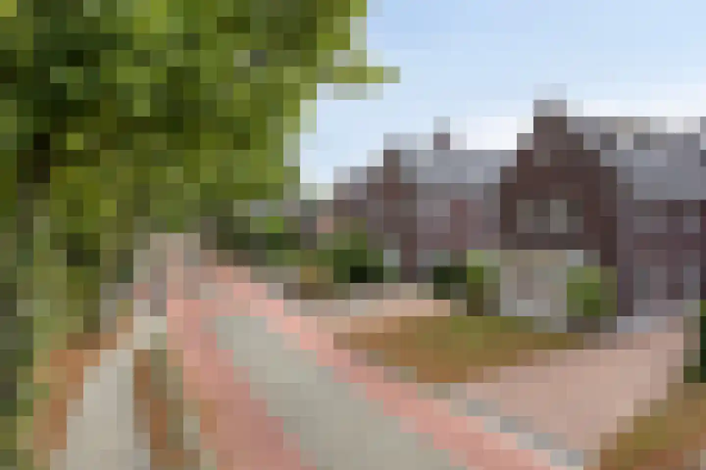 Zandstraat 2 Berlicum thumbnail 50