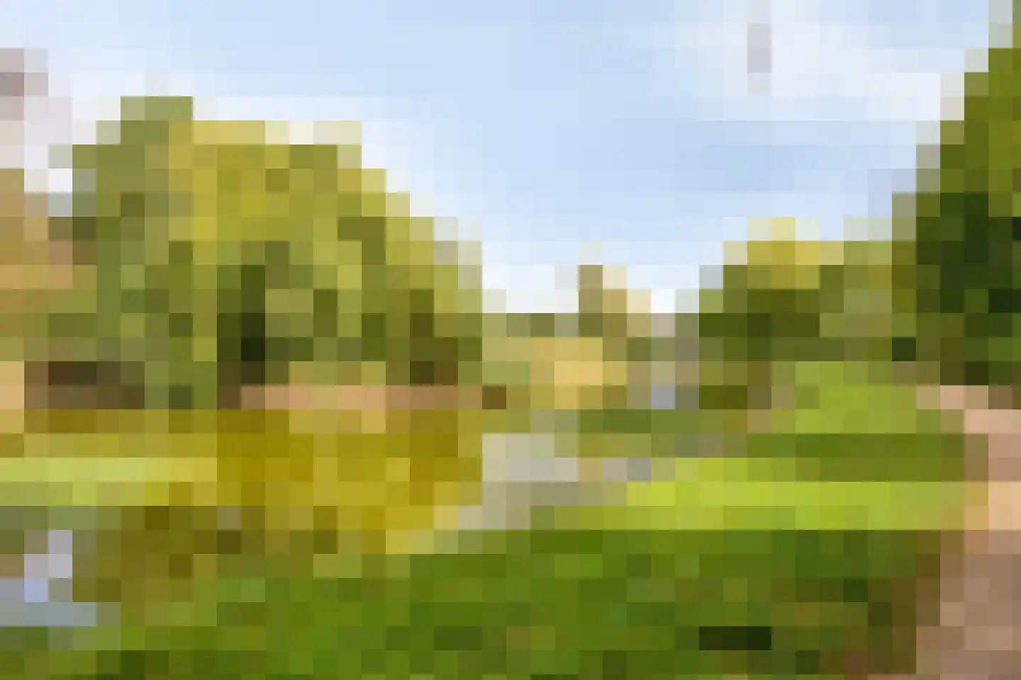 Zandstraat 2 Berlicum thumbnail 51