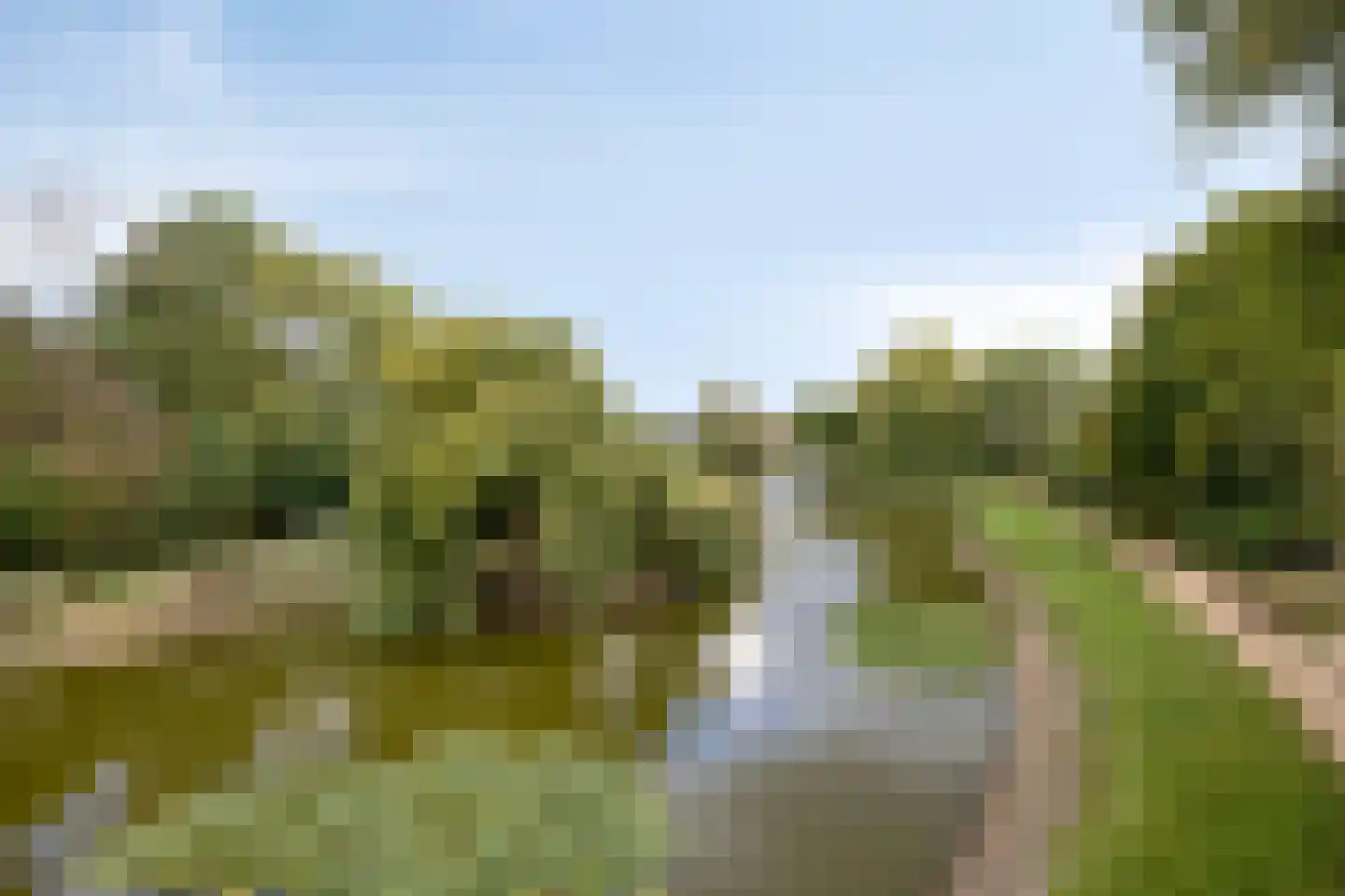 Zandstraat 2 Berlicum thumbnail 56