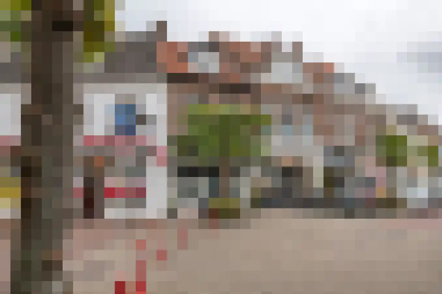 Zandstraat 2 Culemborg foto 3
