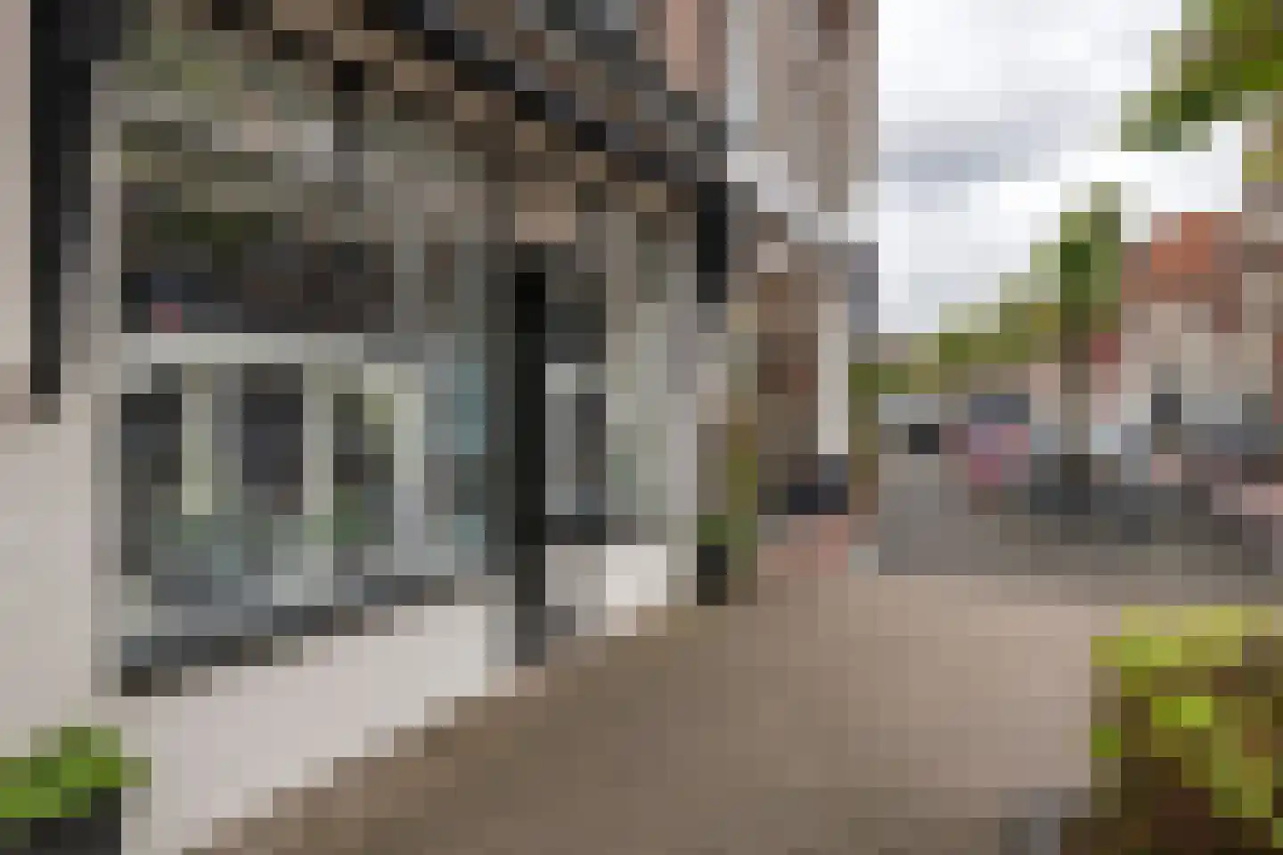 Zandstraat 2 Culemborg thumbnail 4