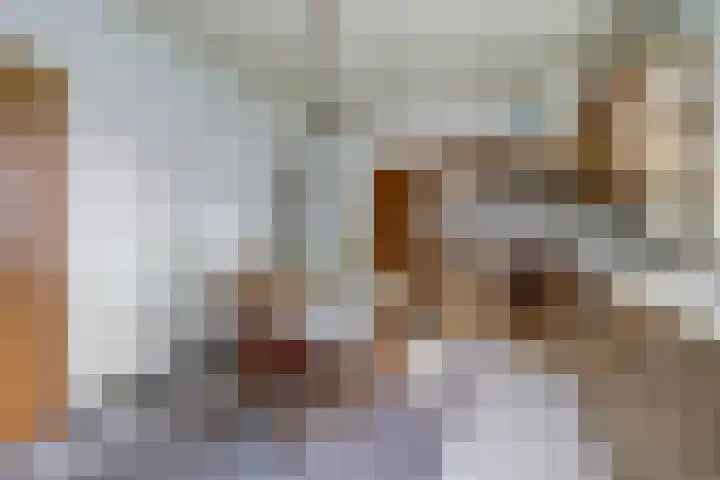 Zandstraat 2 Diessen thumbnail 14