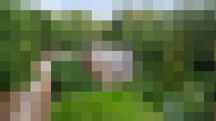 Zandstraat 2 Diessen foto 2