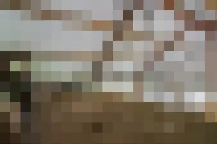 Zandstraat 2 Diessen thumbnail 36