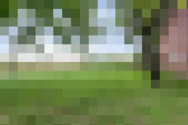 Zandstraat 2 Diessen thumbnail 39