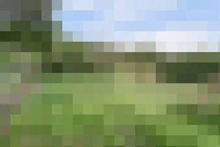 Zandstraat 2 Diessen thumbnail 4