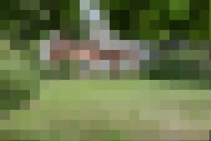 Zandstraat 2 Diessen thumbnail 40
