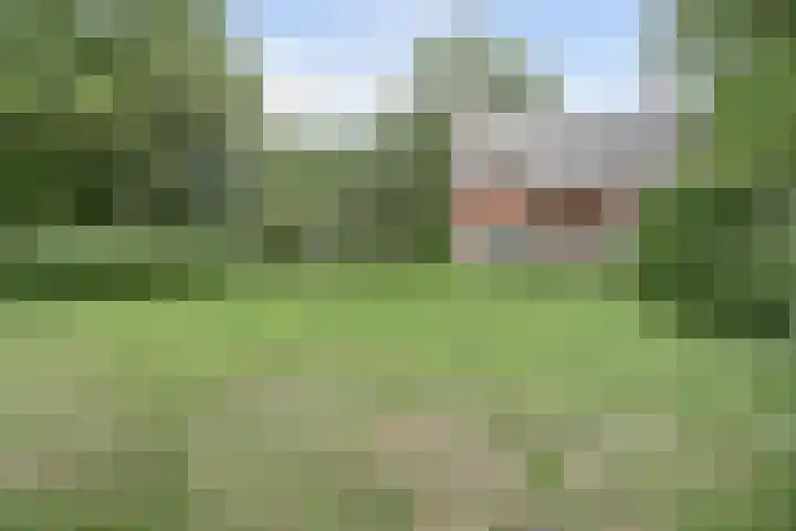 Zandstraat 2 Diessen thumbnail 41
