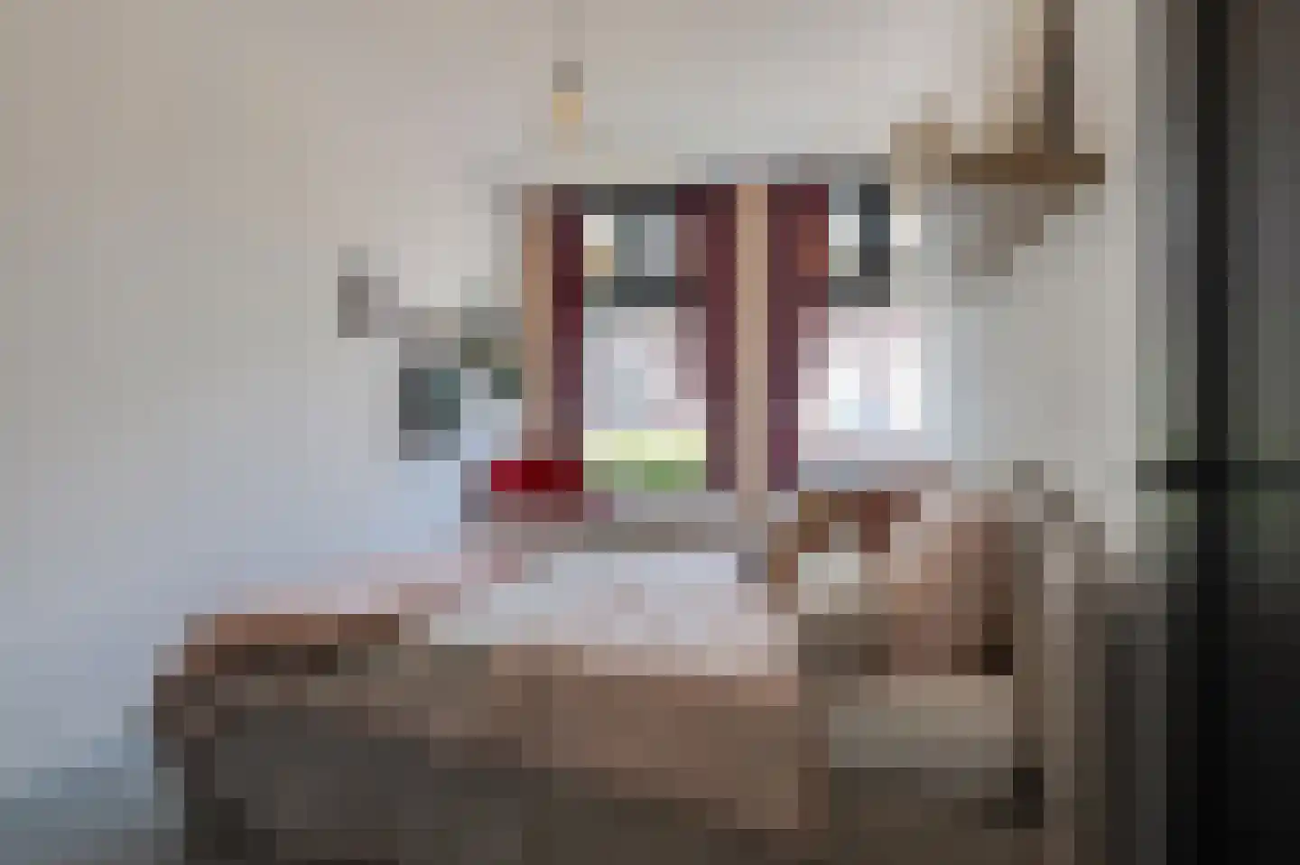 Zandstraat 20 a Culemborg thumbnail 44