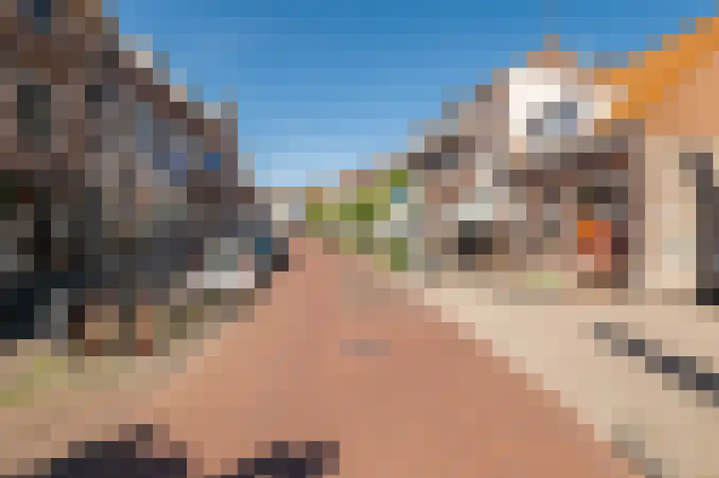 Zandstraat 20 a Culemborg thumbnail 6