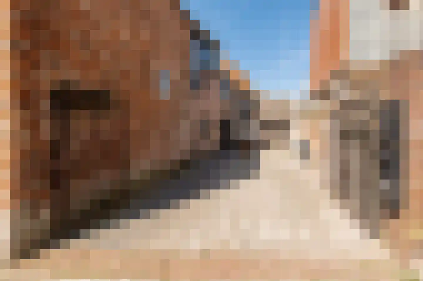 Zandstraat 20 a Culemborg thumbnail 68