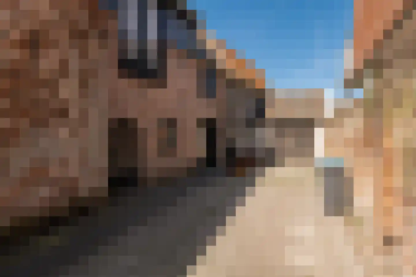 Zandstraat 20 a Culemborg thumbnail 69