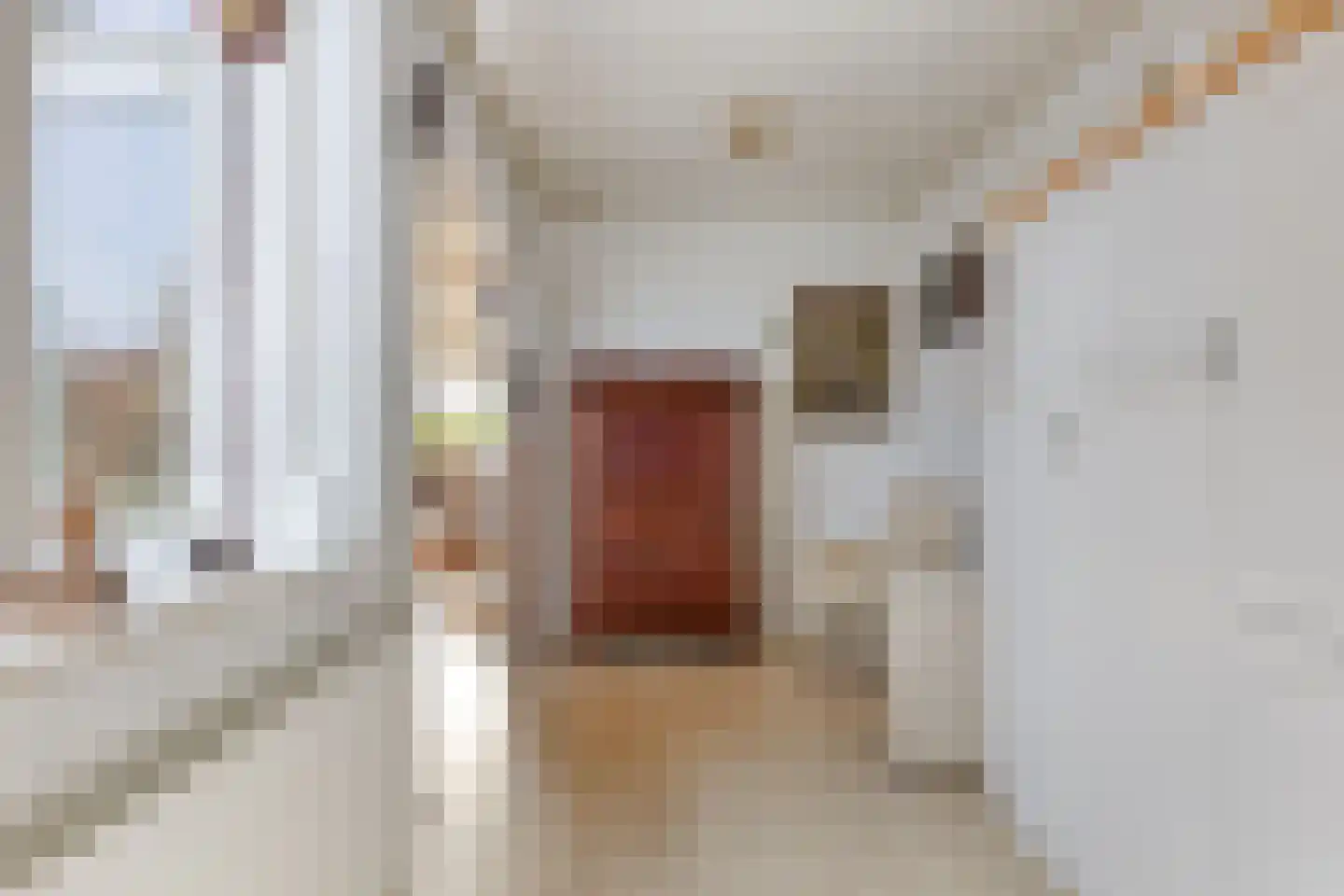 Zandstraat 207 Bergen op Zoom thumbnail 18