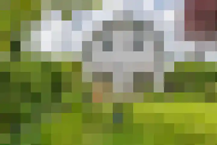 Zandstraat 21 Lienden thumbnail 10