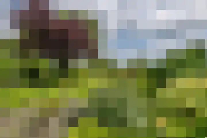 Zandstraat 21 Lienden thumbnail 11