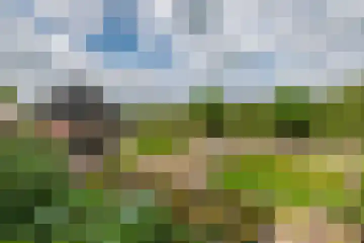 Zandstraat 21 Lienden thumbnail 12