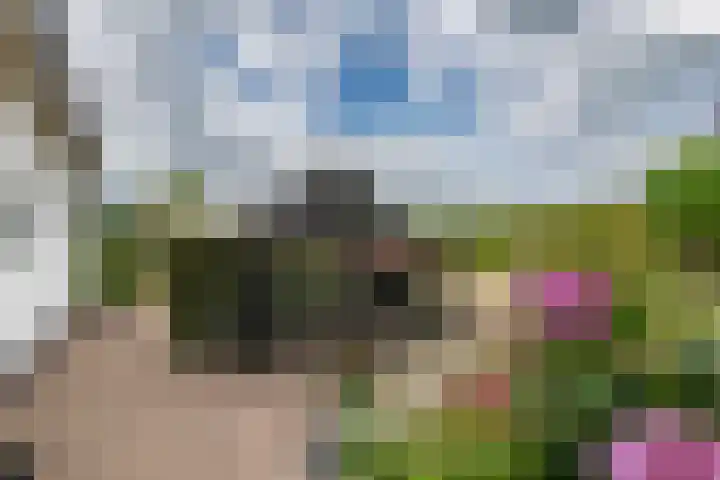 Zandstraat 21 Lienden thumbnail 13