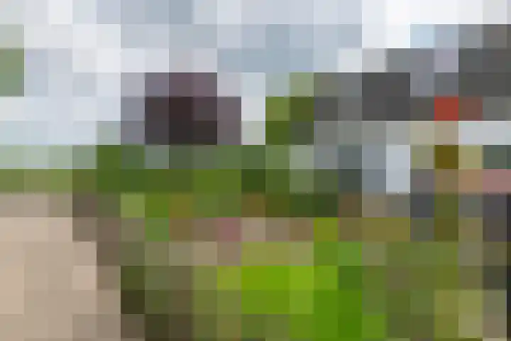 Zandstraat 21 Lienden thumbnail 14
