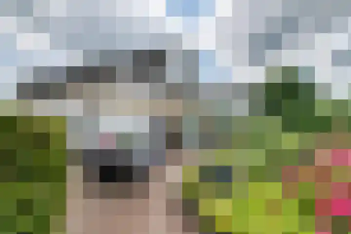 Zandstraat 21 Lienden thumbnail 16