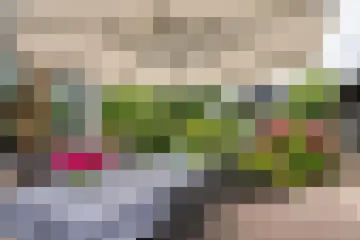 Zandstraat 21 Lienden thumbnail 17