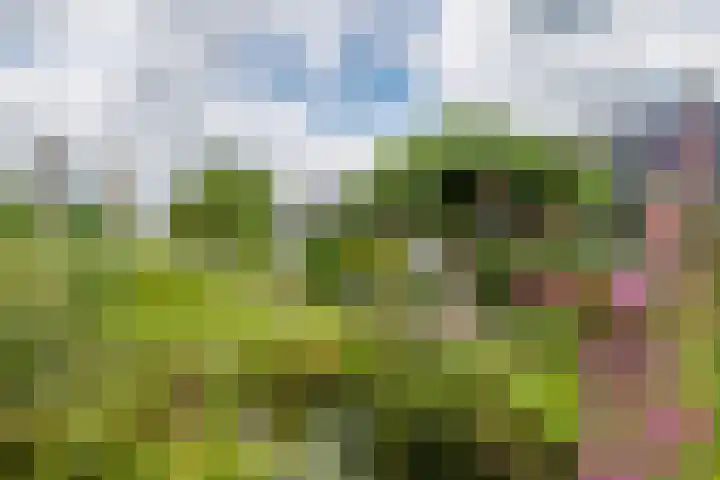 Zandstraat 21 Lienden thumbnail 18