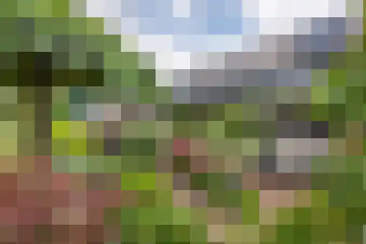 Zandstraat 21 Lienden thumbnail 19