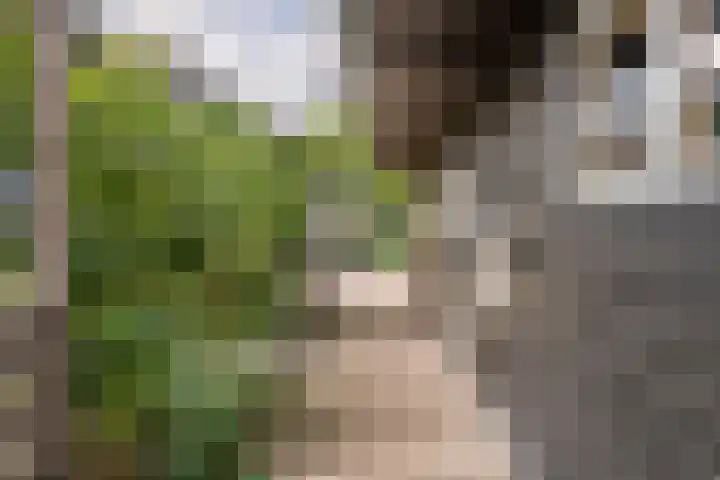 Zandstraat 21 Lienden thumbnail 20