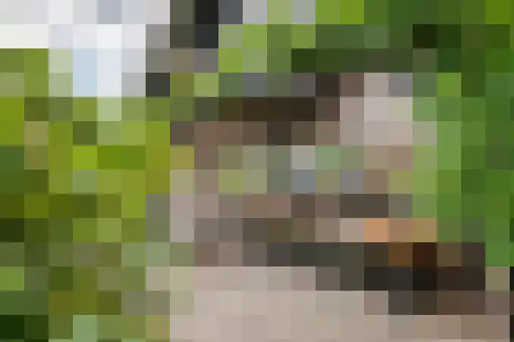 Zandstraat 21 Lienden thumbnail 21