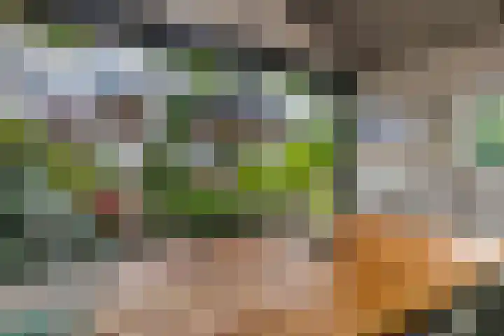 Zandstraat 21 Lienden thumbnail 22