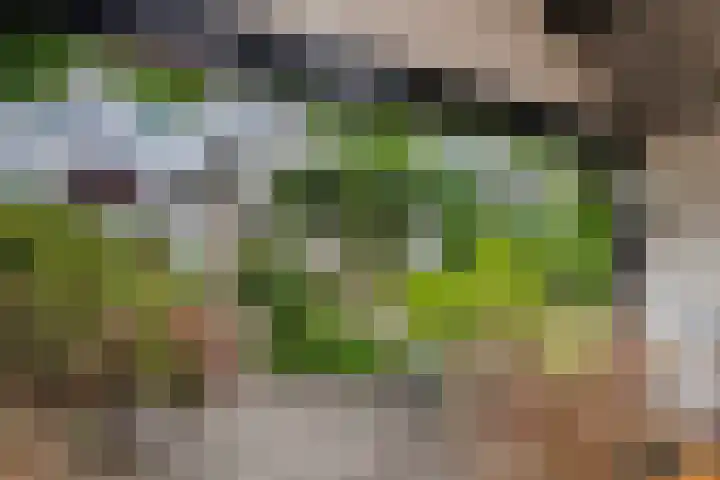 Zandstraat 21 Lienden thumbnail 23
