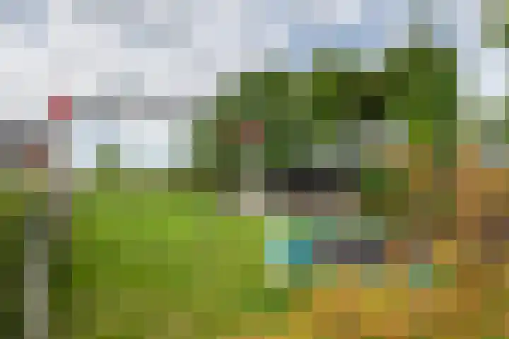 Zandstraat 21 Lienden thumbnail 25