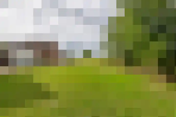 Zandstraat 21 Lienden thumbnail 26