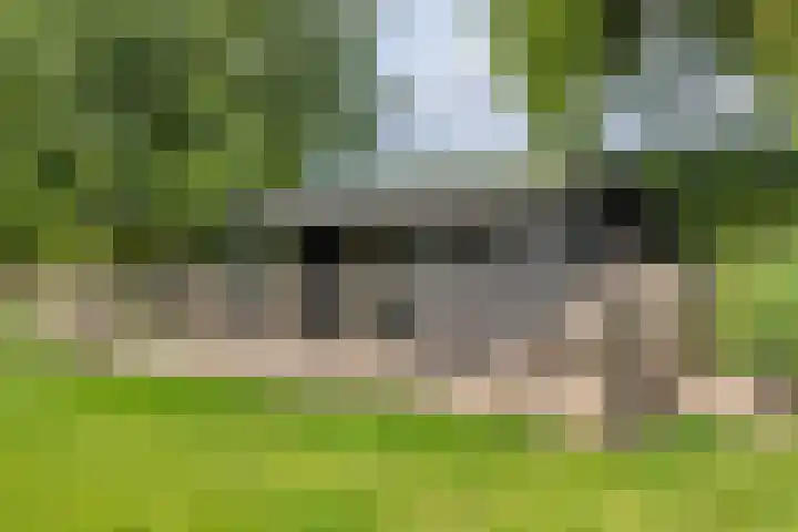 Zandstraat 21 Lienden thumbnail 28